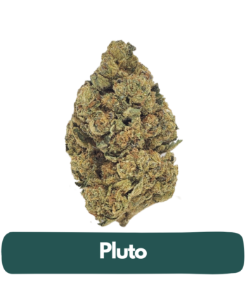 pluto thca flower