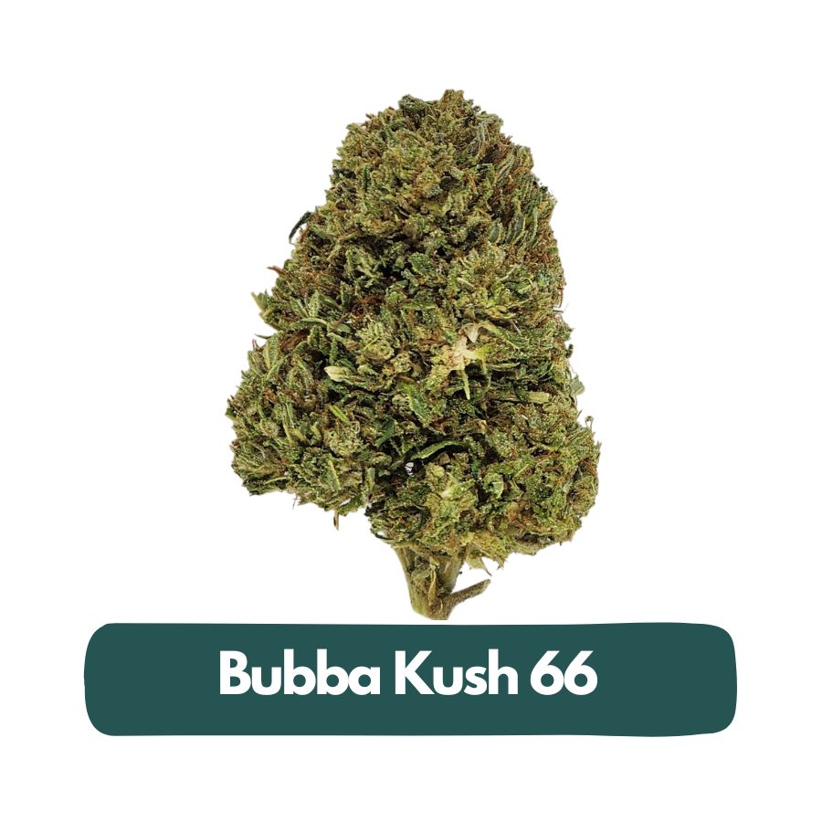 Bubba Kush 66