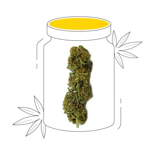 CBD Hemp Flower trophy-wife-cbd